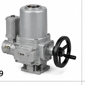 Electric Valve Actuator 09